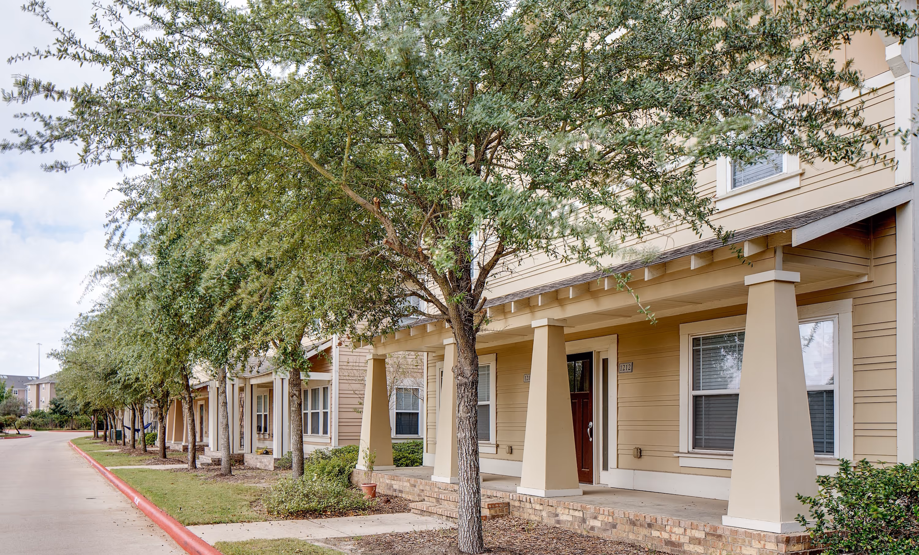 Exterior housing area with trees