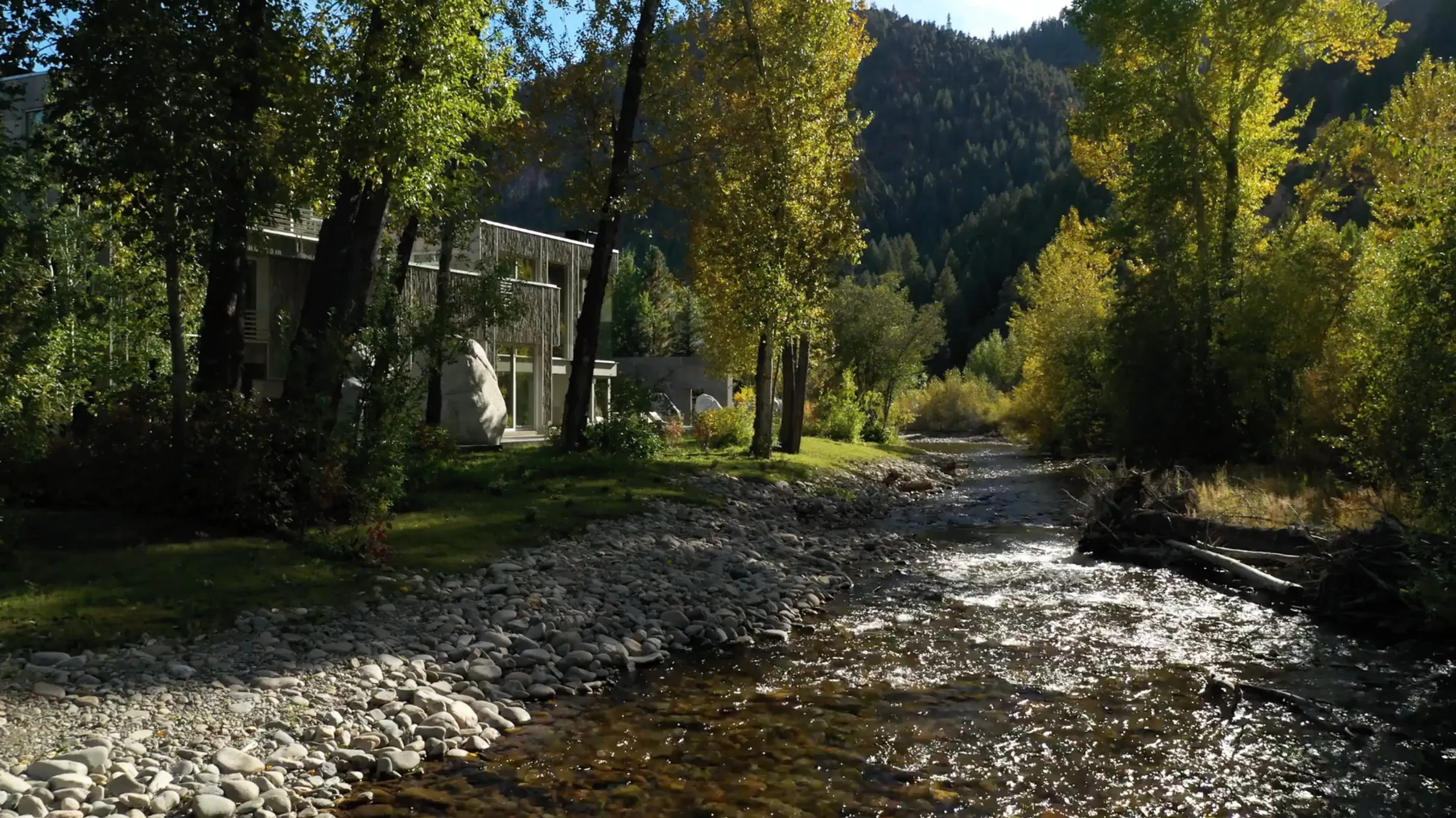 Modern cantilevered roof and stone facade house by architect Susan Desko, set along a forested riverbank in Sun Valley, Idaho, with sunlight streaming through the trees.