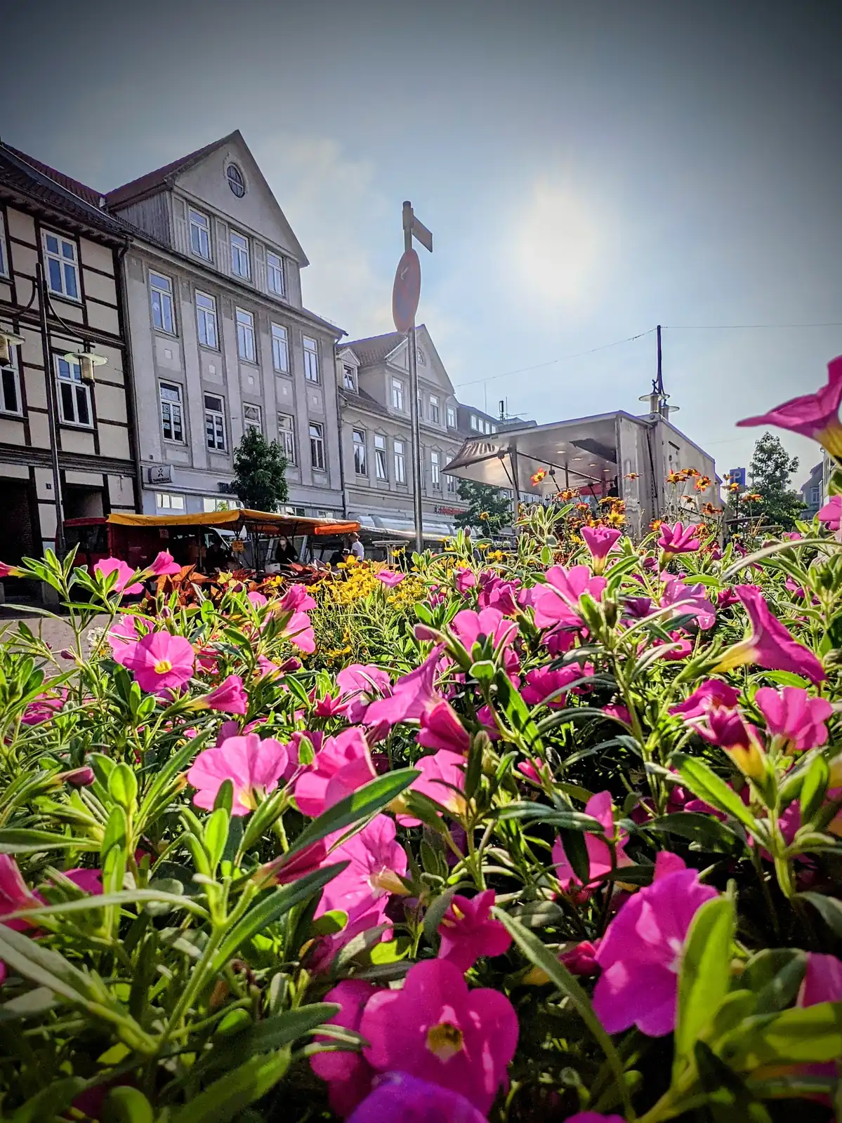 Blumen in der Marktgasse auf dem Vitalmarkt in der Uelzener Altstadt