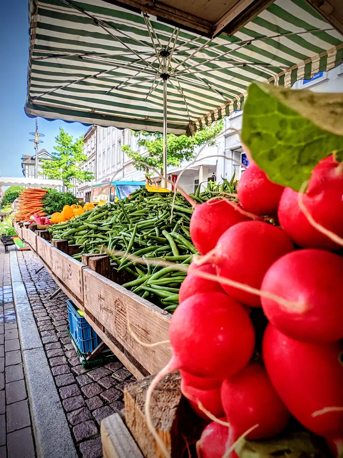 Gemüsestand mit Radieschen, Bohnen und Möhren auf dem Vitalmarkt Uelzen