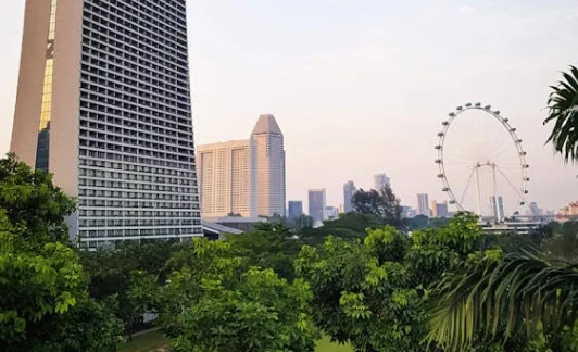 Office Location