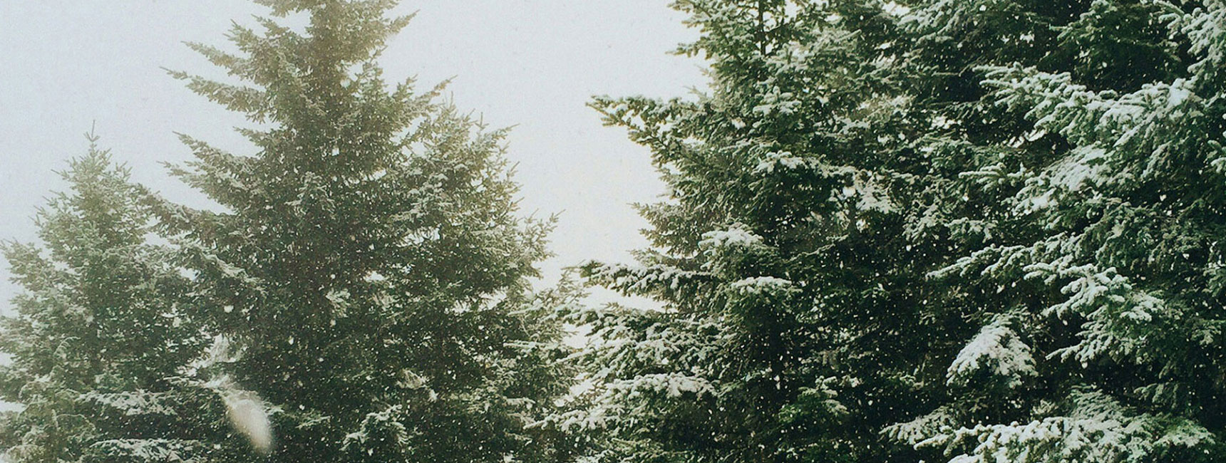 Blog Post Image