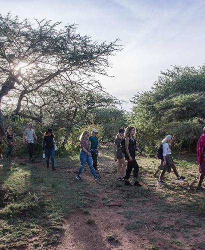 Walking safari led by a Maasai guide through open plains and bushland.