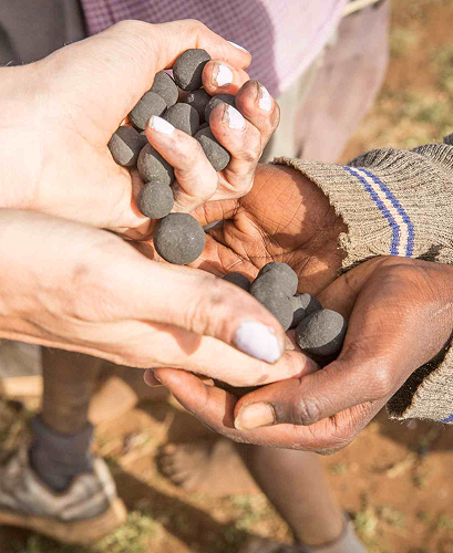 Guest throwing seedballs into grassland for habitat restoration.