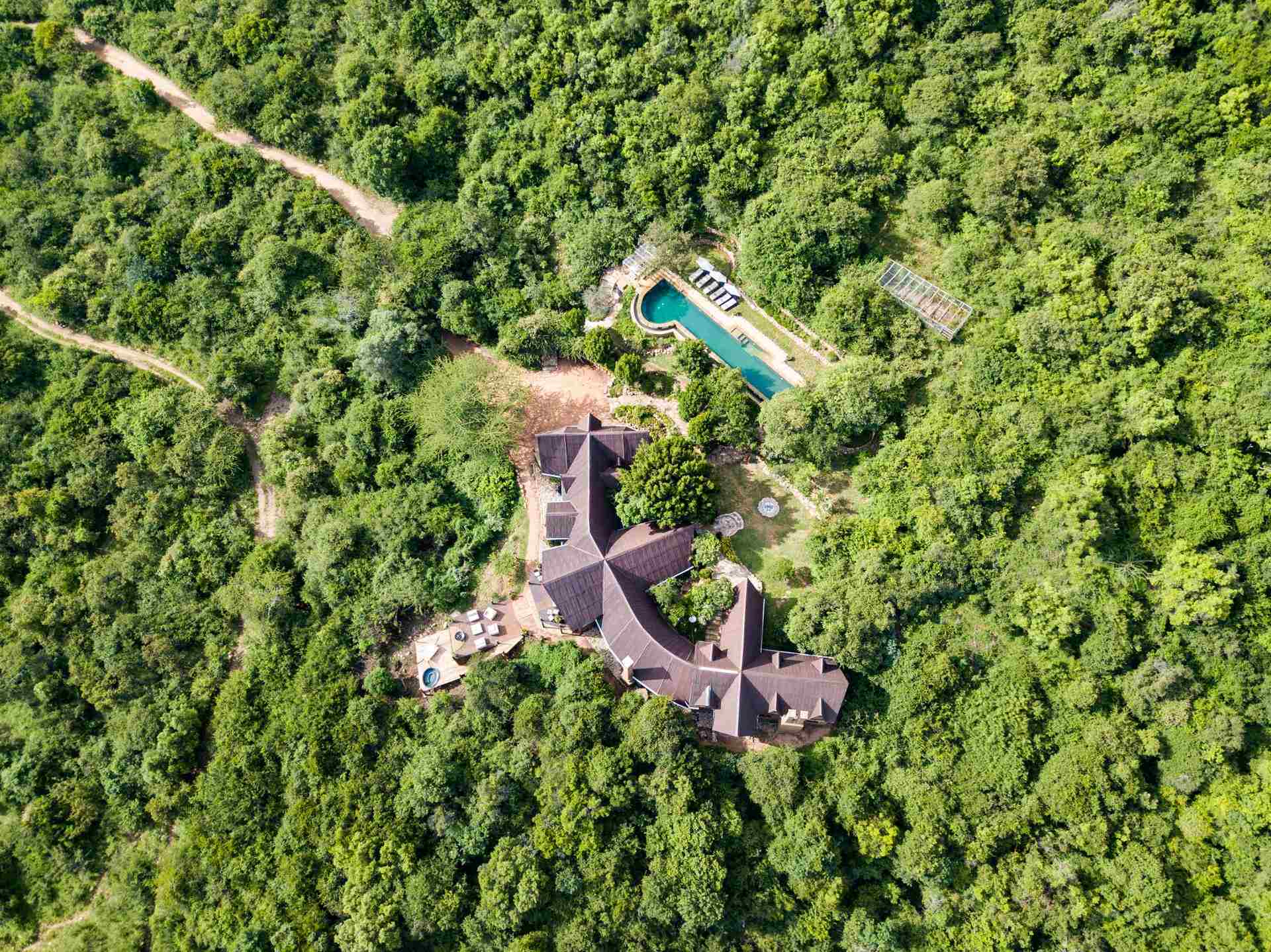 Modern color photo representing the fifth generation of Cottar’s Safaris, highlighting sustainable eco-tourism.