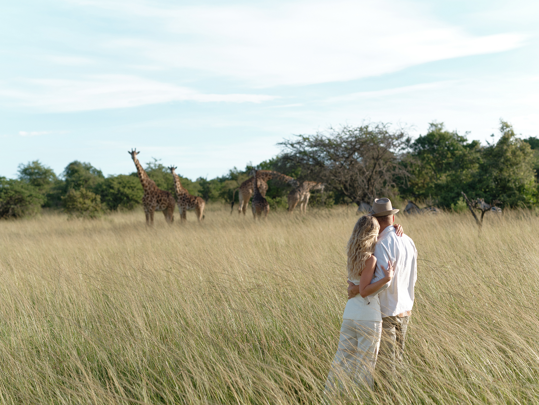 Couple watching a tower of giraffes during a walking safari in Kenya.