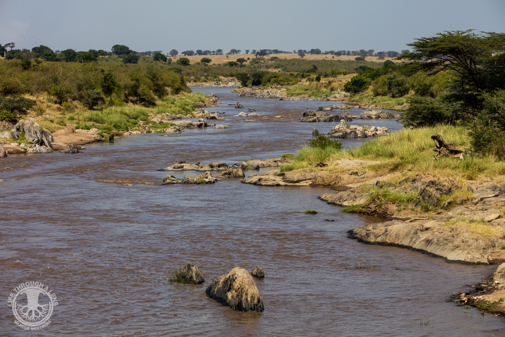 The Mara River winding through the Maasai Mara National Reserve in Kenya.