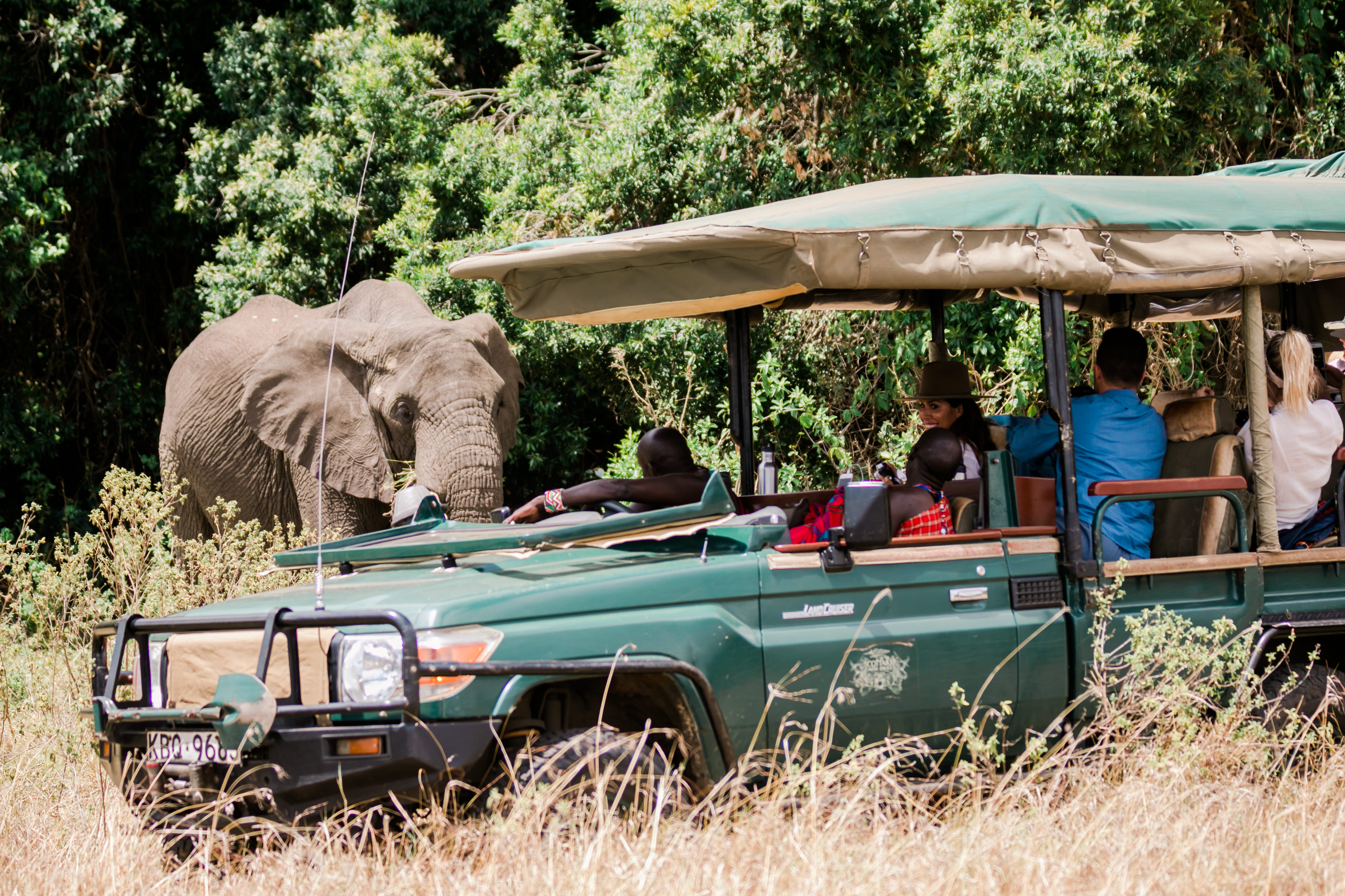 Guests on a Cottar’s safari game drive watching an African elephant at close range in the Maasai Mara.