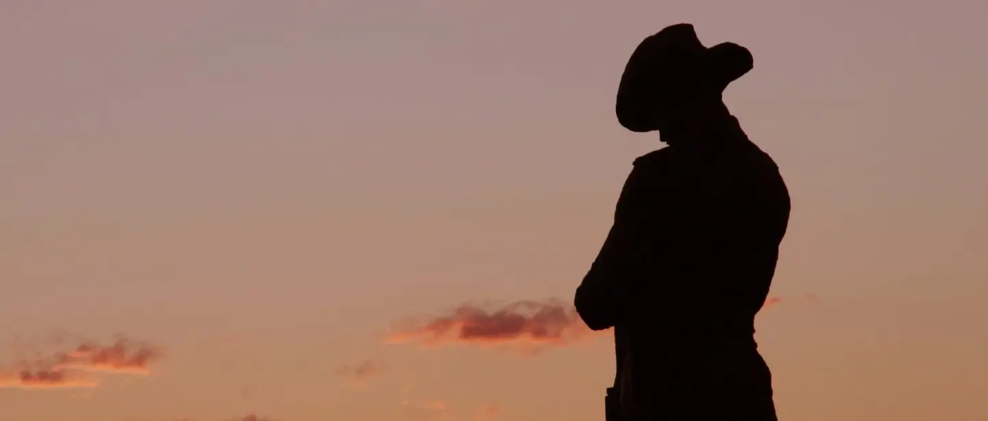 Of the 900 recommendations for struggling veterans, there is one that stands out