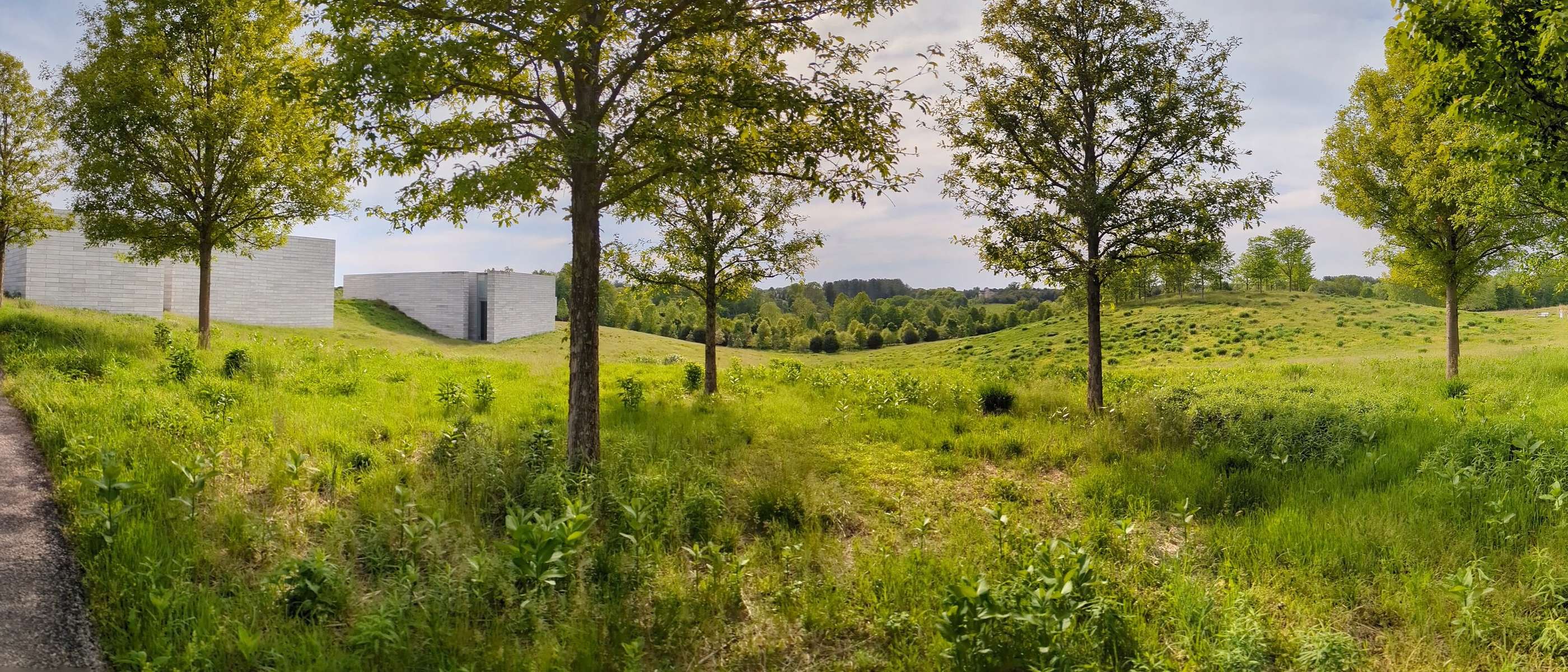 Glenstone Museum pavilions set in the meadow landscape in Potomac, Maryland