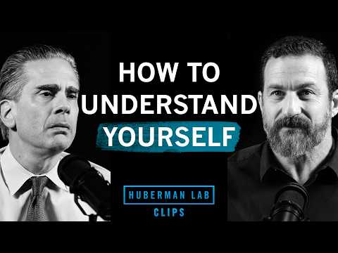 Dr. Paul Conti on Huberman Lab Clips