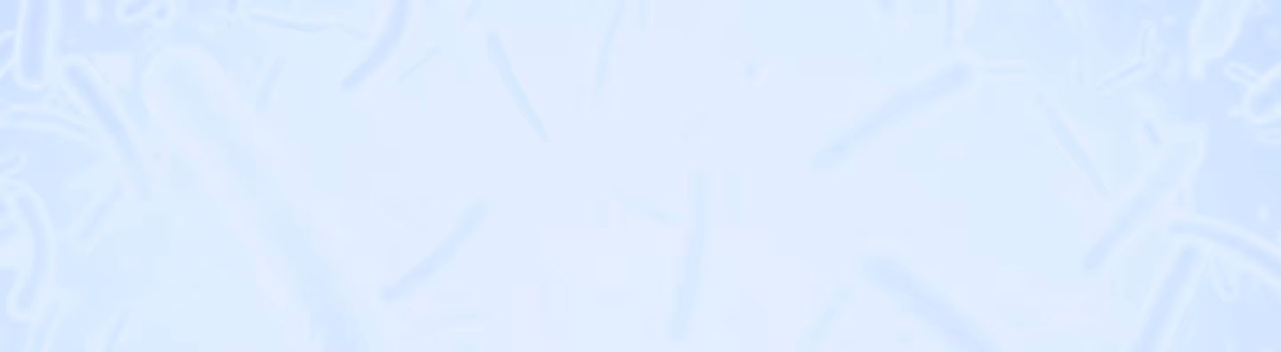 Bioinformatics Developer