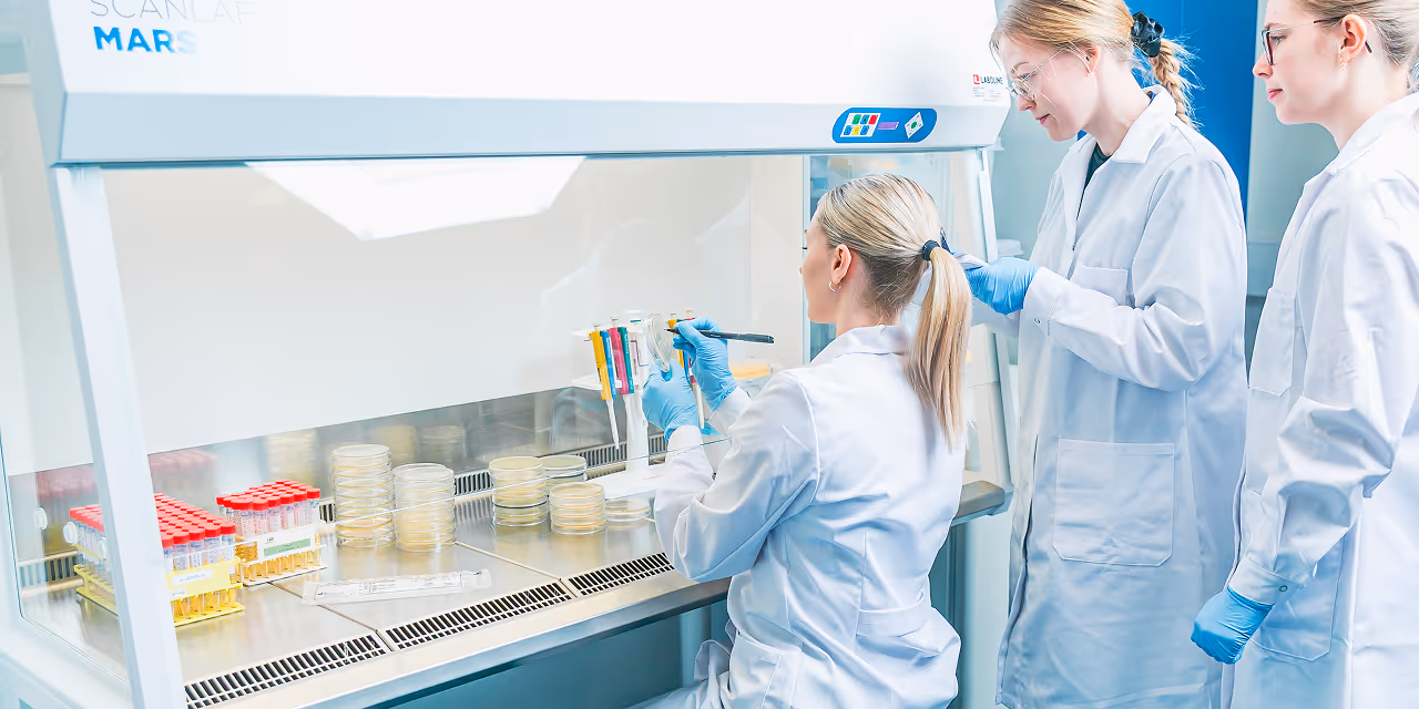 bacteriophage laboratory development