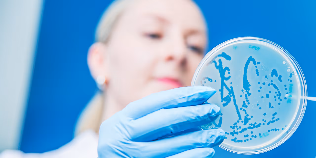 bacteriophage isolation and characterizaation