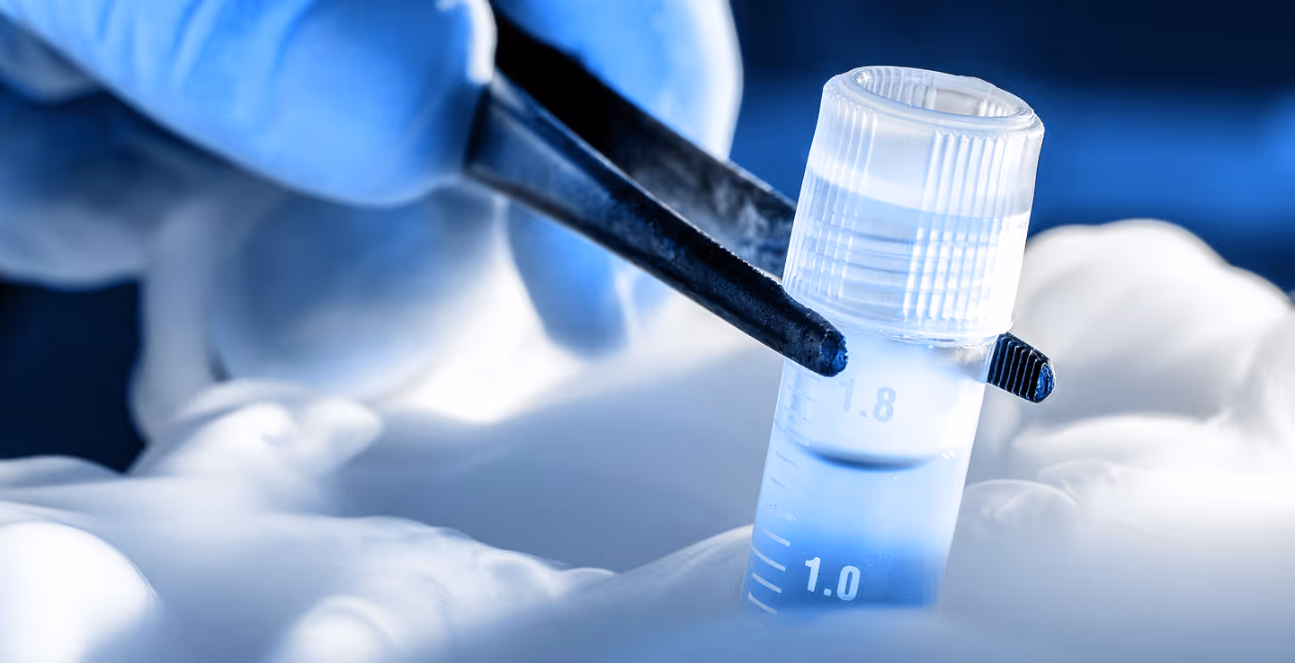 phage library collection