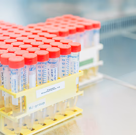 bacteriophage library and licensing