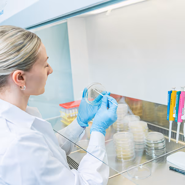 bacteriophage isolation and characterization
