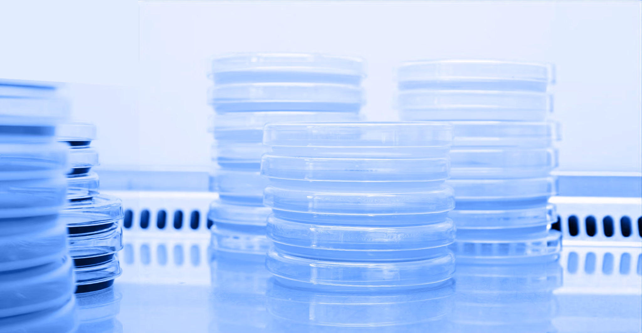 Bacteria collection for preventing antibiotic resistance bacteria