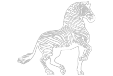 Zebra systems