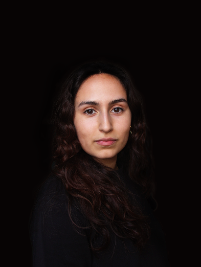 Consulting firm template member2