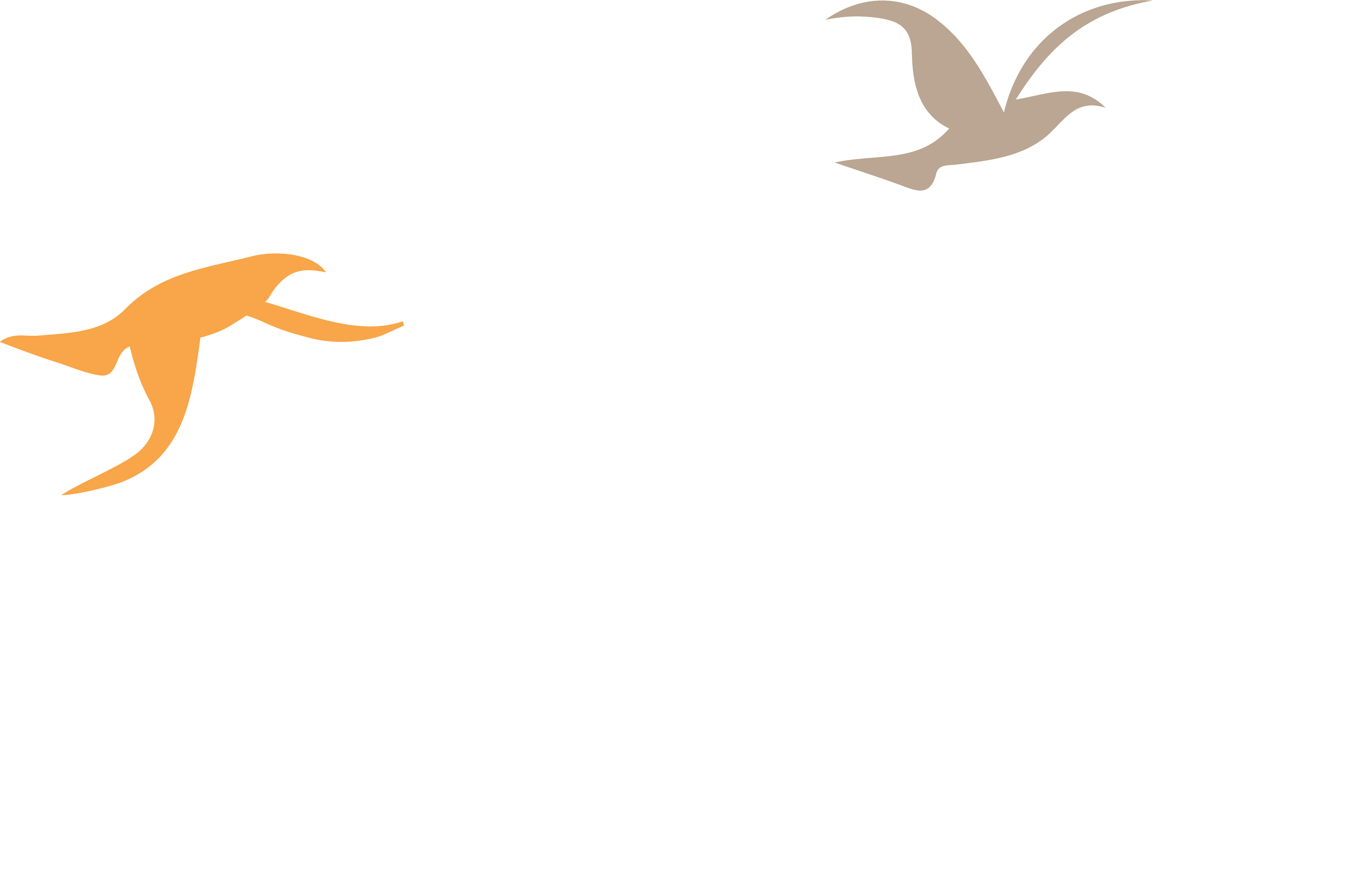 This is it, there is no tomorrow – decide now and do it