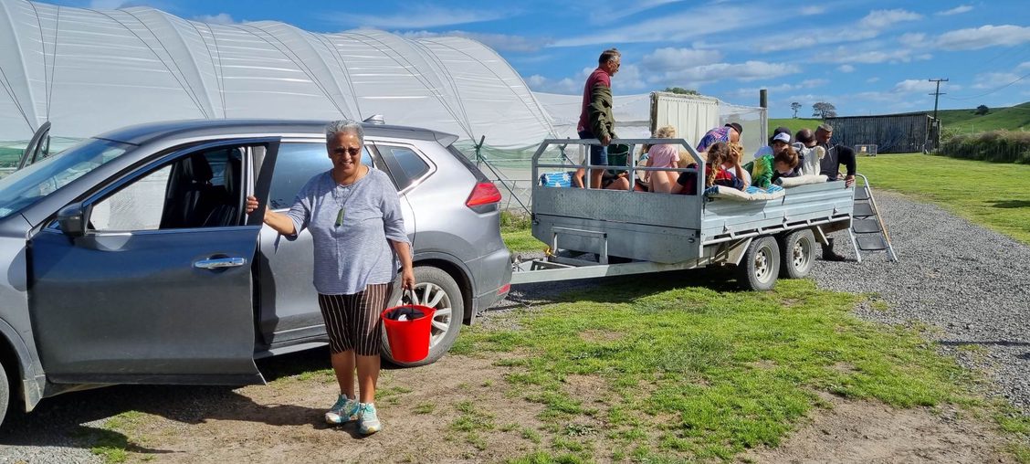 Trustee profile: Pua Taikato