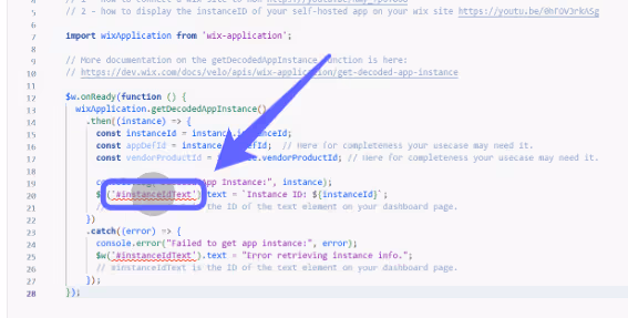 Highlighted code snippet with blue arrow pointing at line 20 on a computer screen. Surrounding text is related to Wix app instance.
