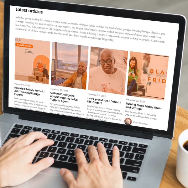 easyStorage Living on a laptop screen