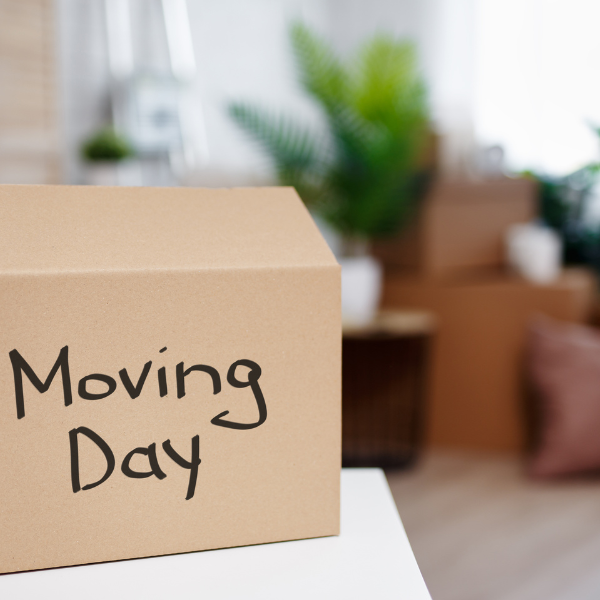 Cardboard box with moving day written on it