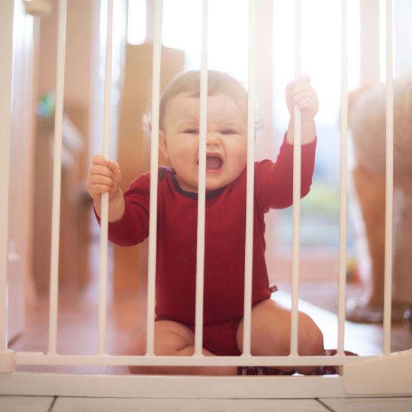 Baby sat by a baby gate