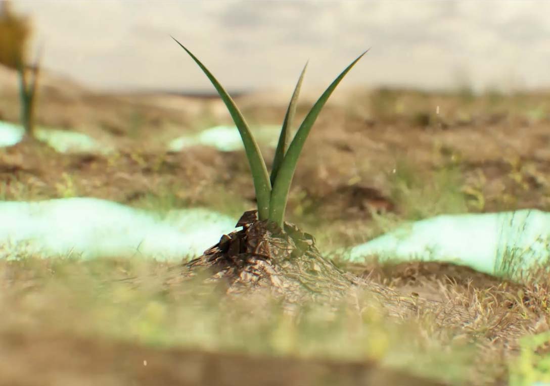 Studio production 3D Paris - Bengale animation