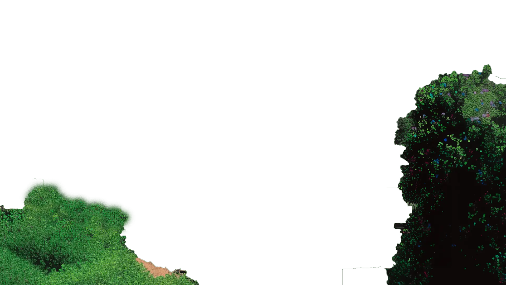 Bengale Studio - Production audiovisuelle créative Paris depuis 2016