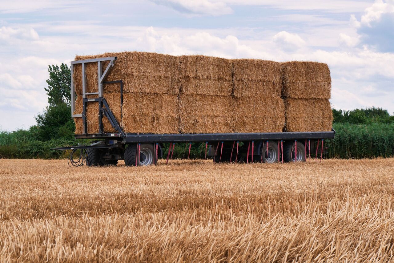 How It Works Illustration