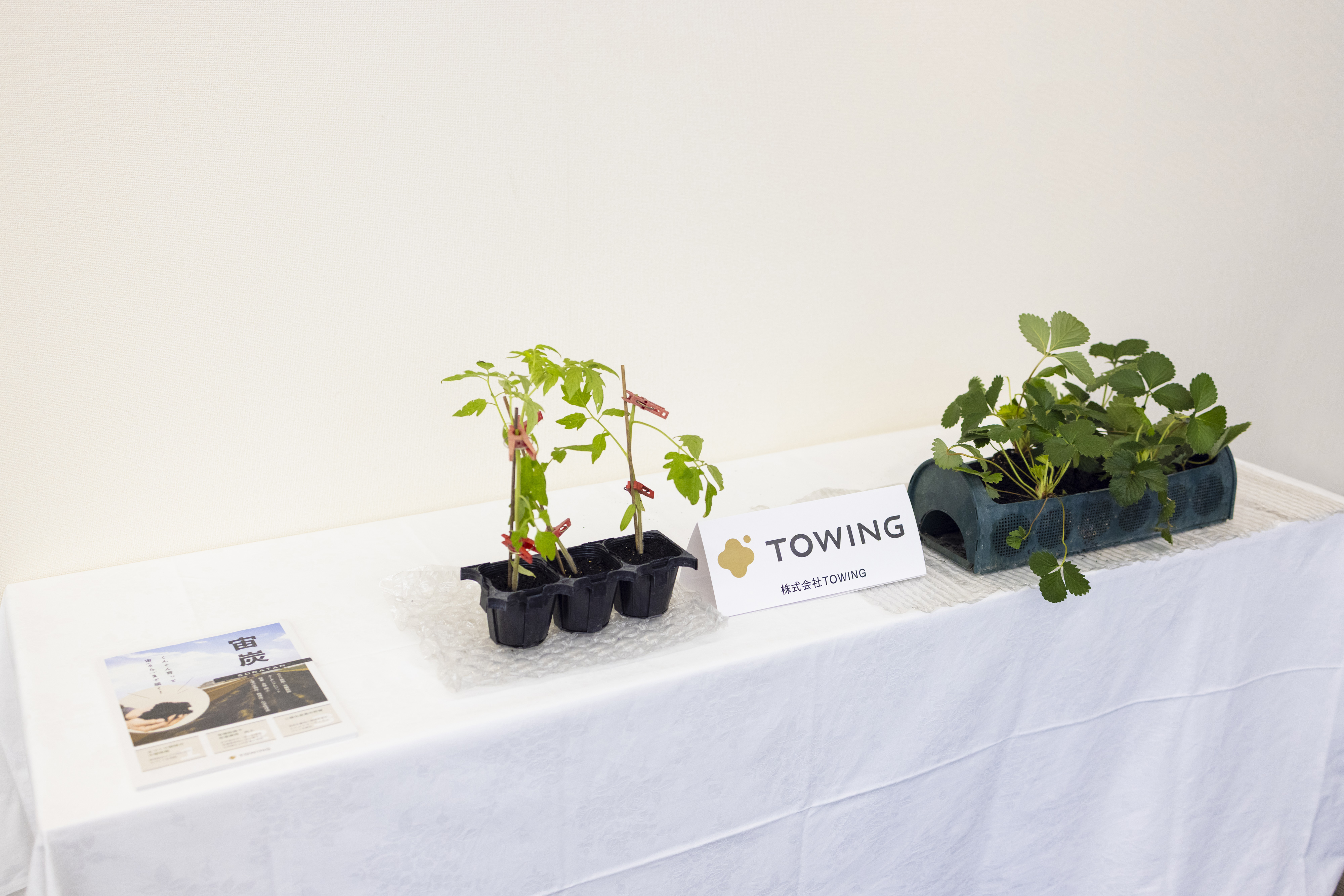 TOWING Exhibition: The latest examples of sustainability through "co-creation" between the Coca-Cola System and startups