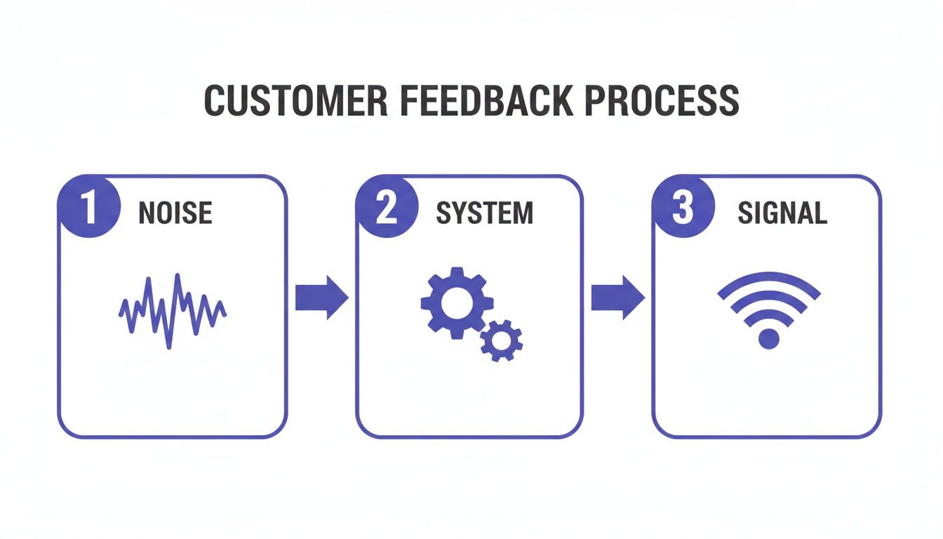 A diagram illustrating the customer feedback process, moving from raw noise to system processing, yielding a clear signal.