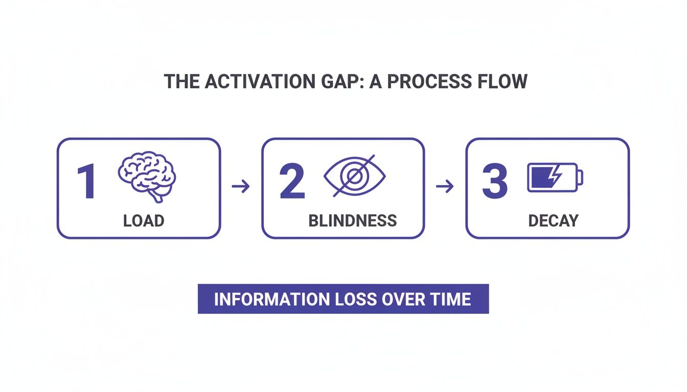 A process flow diagram illustrates the activation gap, showing steps of information load, blindness, and decay.