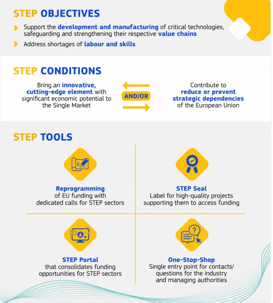 step program finantari