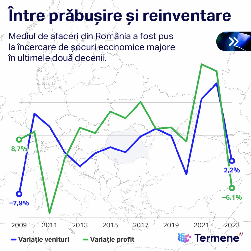 evolutie anuala profit si venituri, sursa: Termene AI