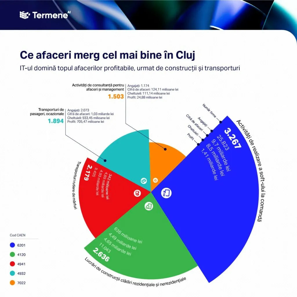 afacerile recomandate în Cluj, TermeneRo