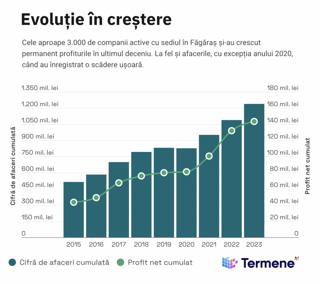 Grafic: Evoluția cifrei de afaceri și profitului firmelor din Făgăraș între 2015 și 2023, termene.ro