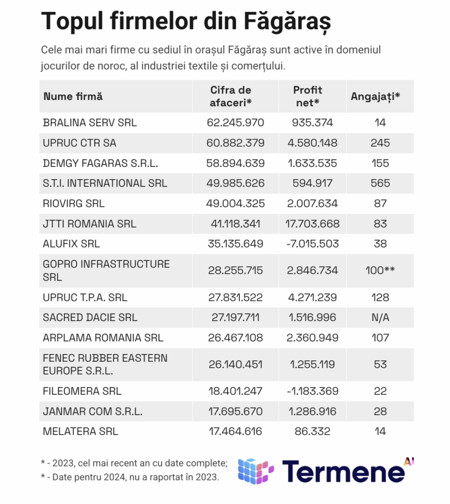 Tabel: Topul firmelor din Făgăraș pe baza datelor financiare din 2023, termene.ro