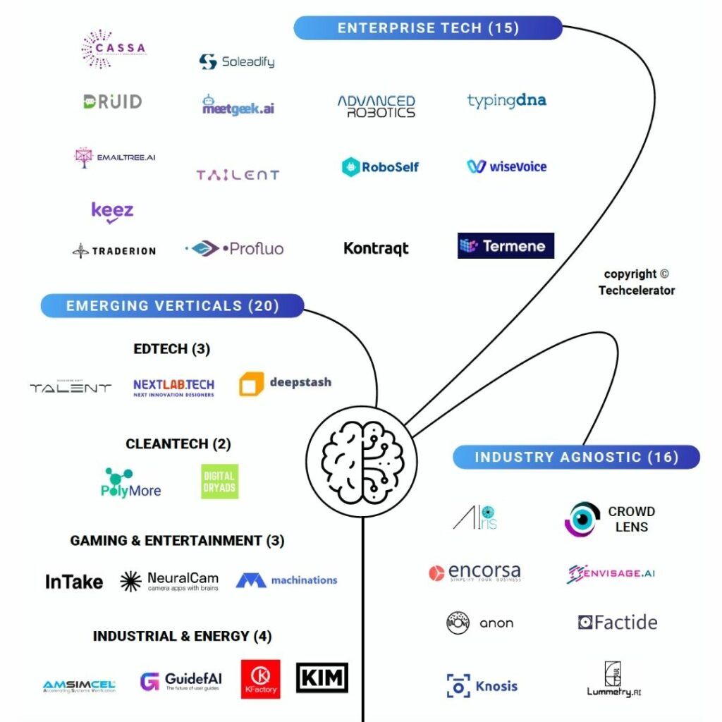 Termene, pe harta AI din România