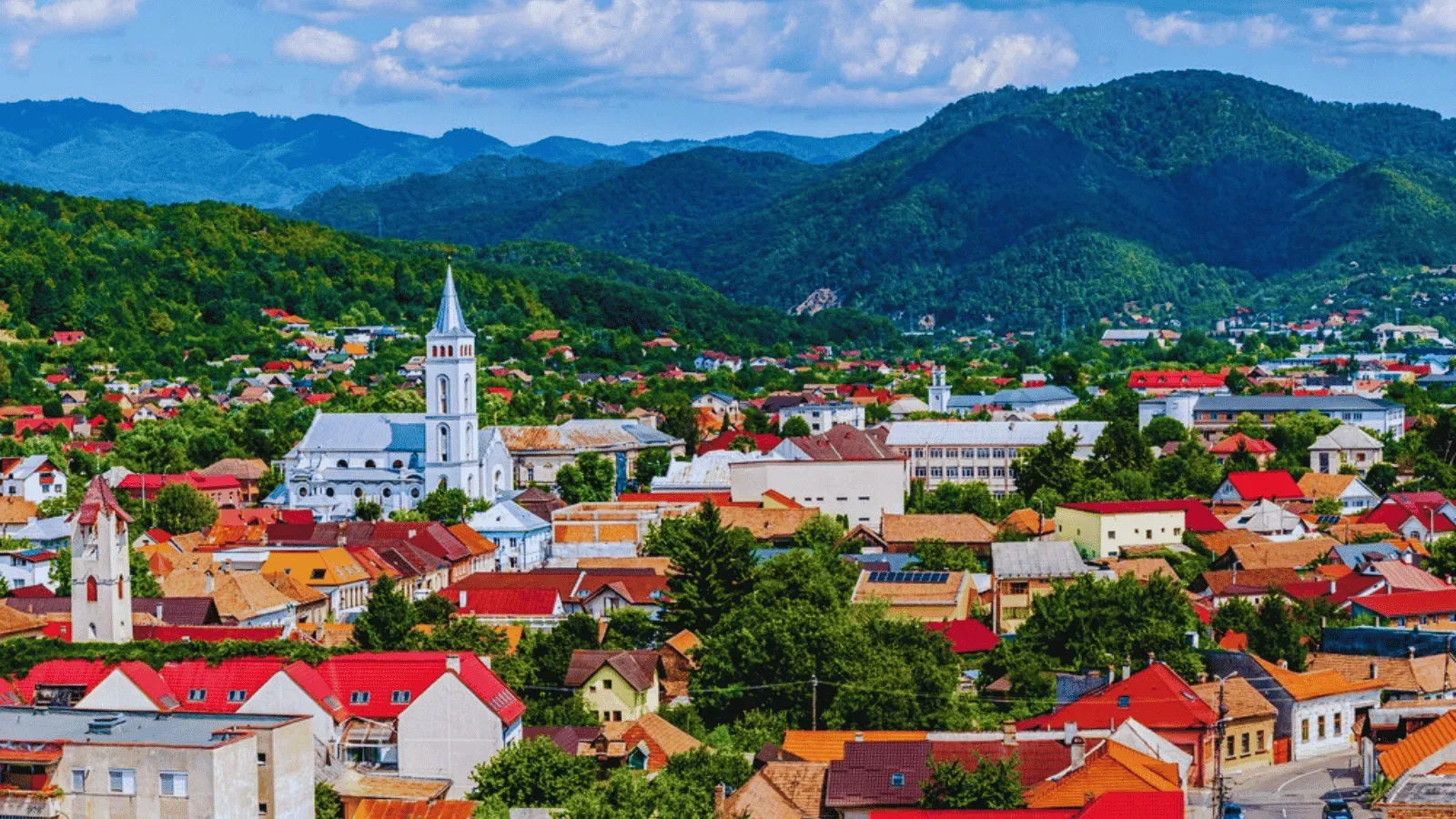 Top 50 companii din Maramureș. De la Italsofa, Unio și Moeller la Aramis, Universal Alloy și Eaton. Cum s-a schimbat vârful c