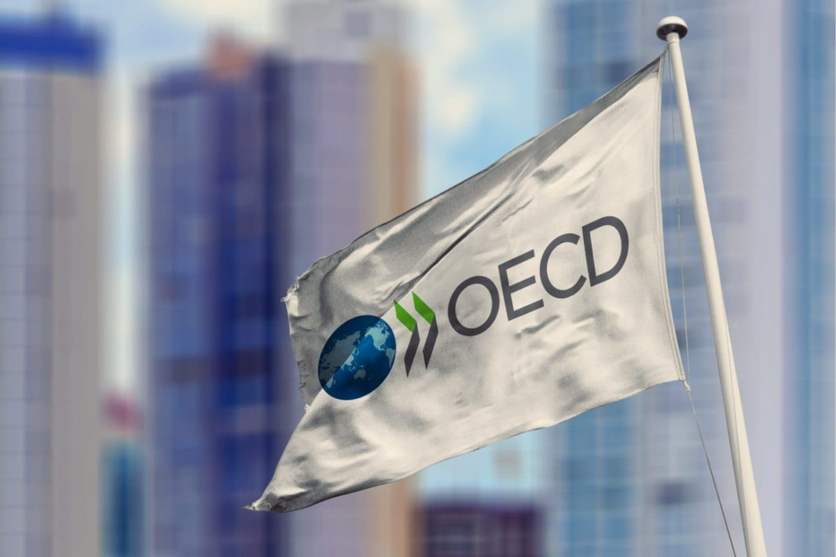 De ce contează | România a primit avizele OCDE pentru piețe financiare și pentru guvernanță publică: 22 de avize din 25 sunt gata