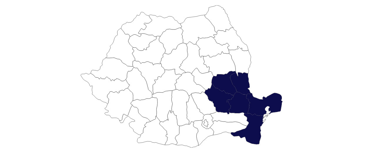 Regiunea Sud-Est: Top firme înființate, insolvente, radiate