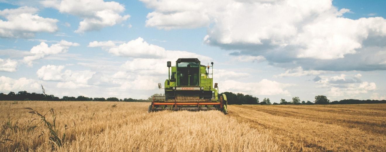 Luni, 12 august, este termenul limită pentru depunerea declarațiilor fiscale de către contribuabilii neînregistrați în scopur