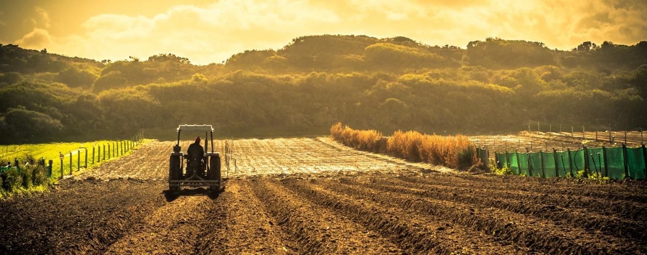 Terenul arabil din România continuă să fie puțin mai ieftin decât media statelor din Uniunea Europeană