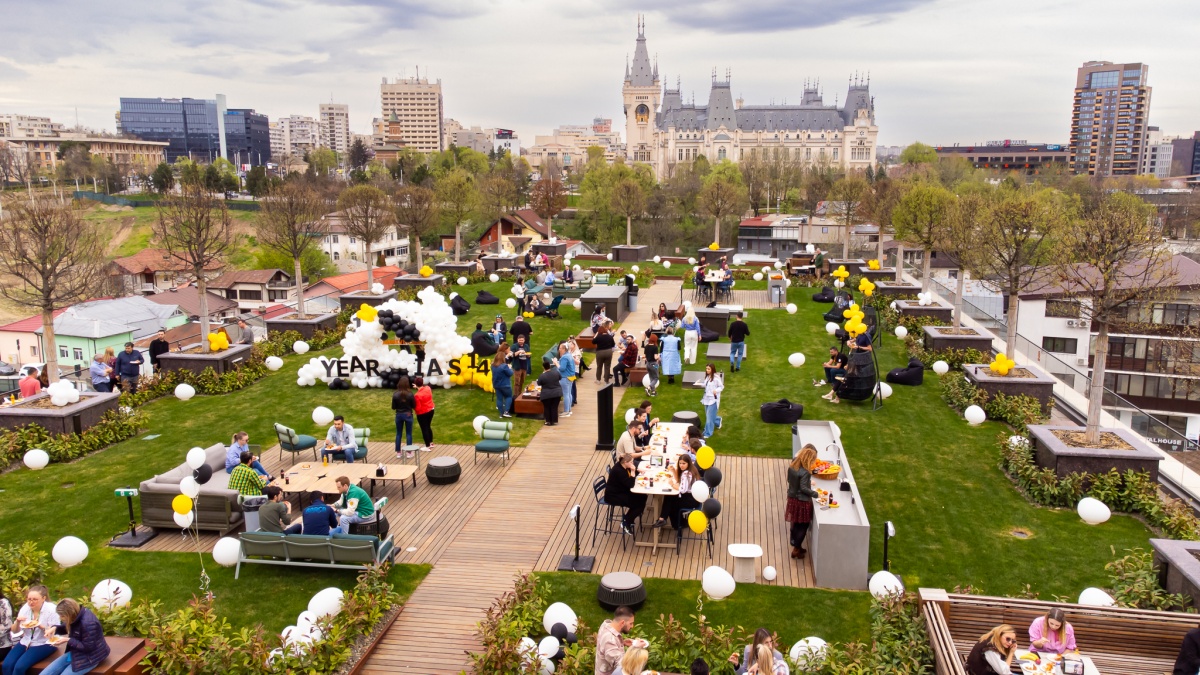 Topul celor mai mari 20 de companii din județul Iași. Cele mai multe firme fac „comerț cu amănuntul în magazine nespecializat