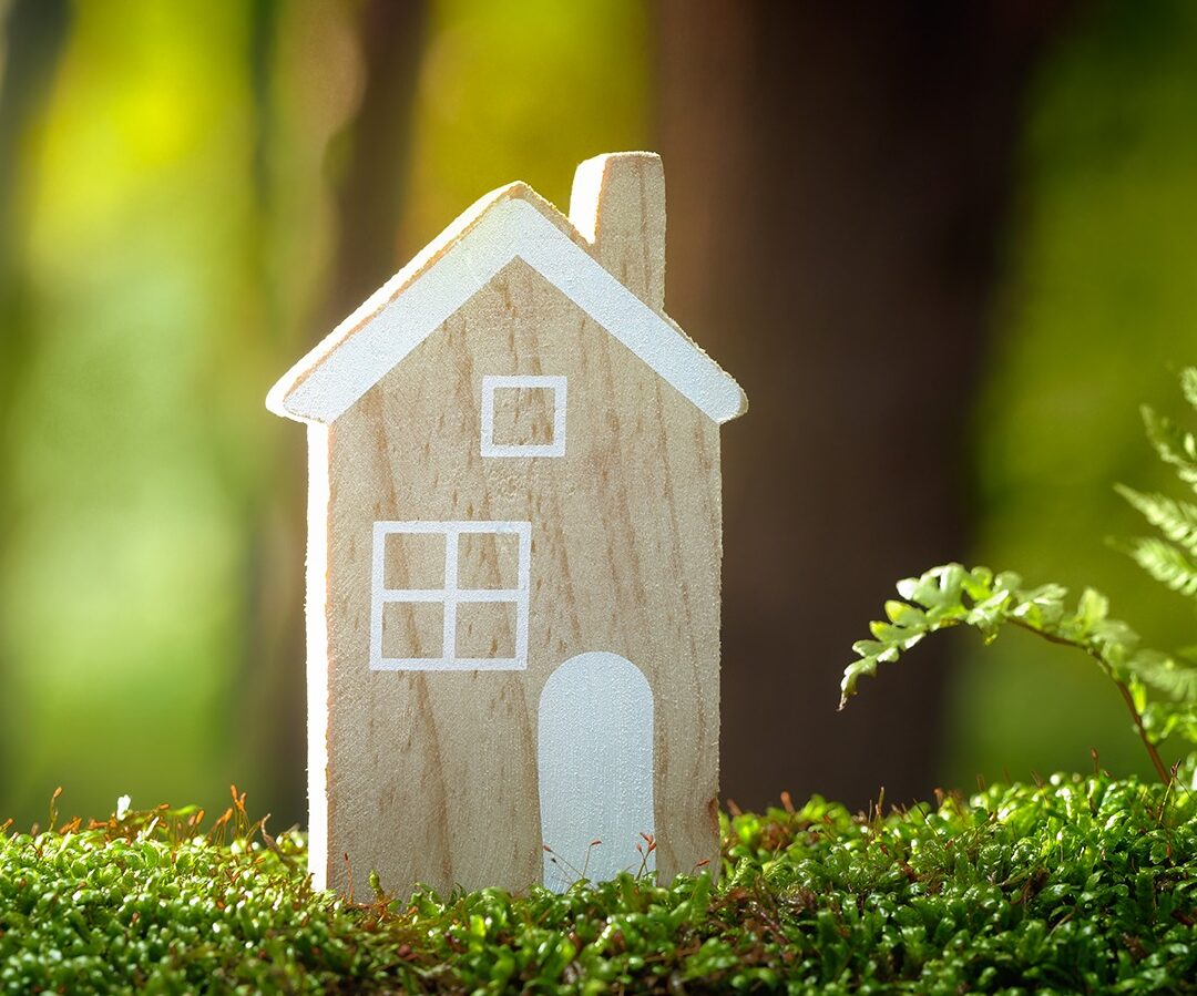 Economica.net | S-a lansat harta dezastrelor din România. Care sunt județele cele mai expuse la catastrofă