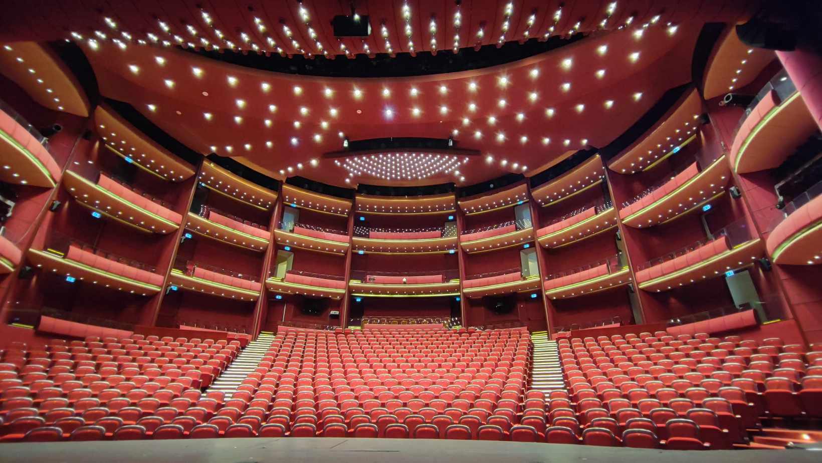 Afacerile care pun în scenă piesa de teatru scrisă pentru Alain Delon și jucată de Florin Piersic